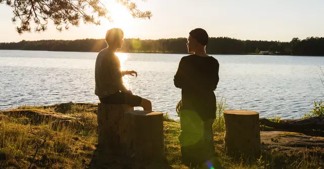 Formation continue - Hypnose Conversationnelle Niveau 2 - Régressions